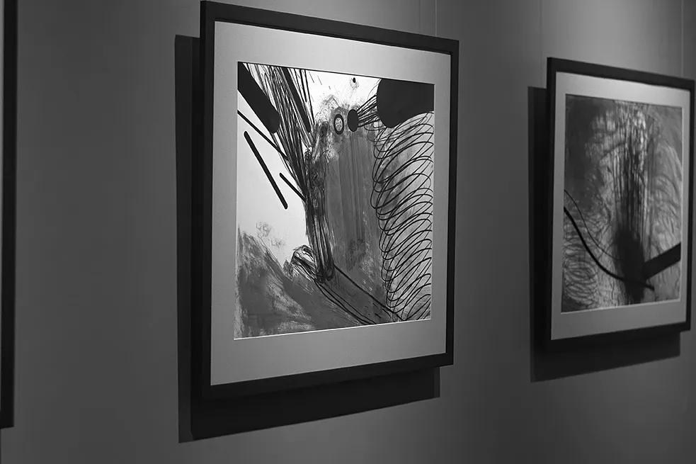 Обкладинка проєкту "Камені у кишенях" від євген григор'єв, проєкт типу Виставки, базується у "Зелена канапа" Львів, вул. Вірменська, буд. 7, створено у 23.02.2026