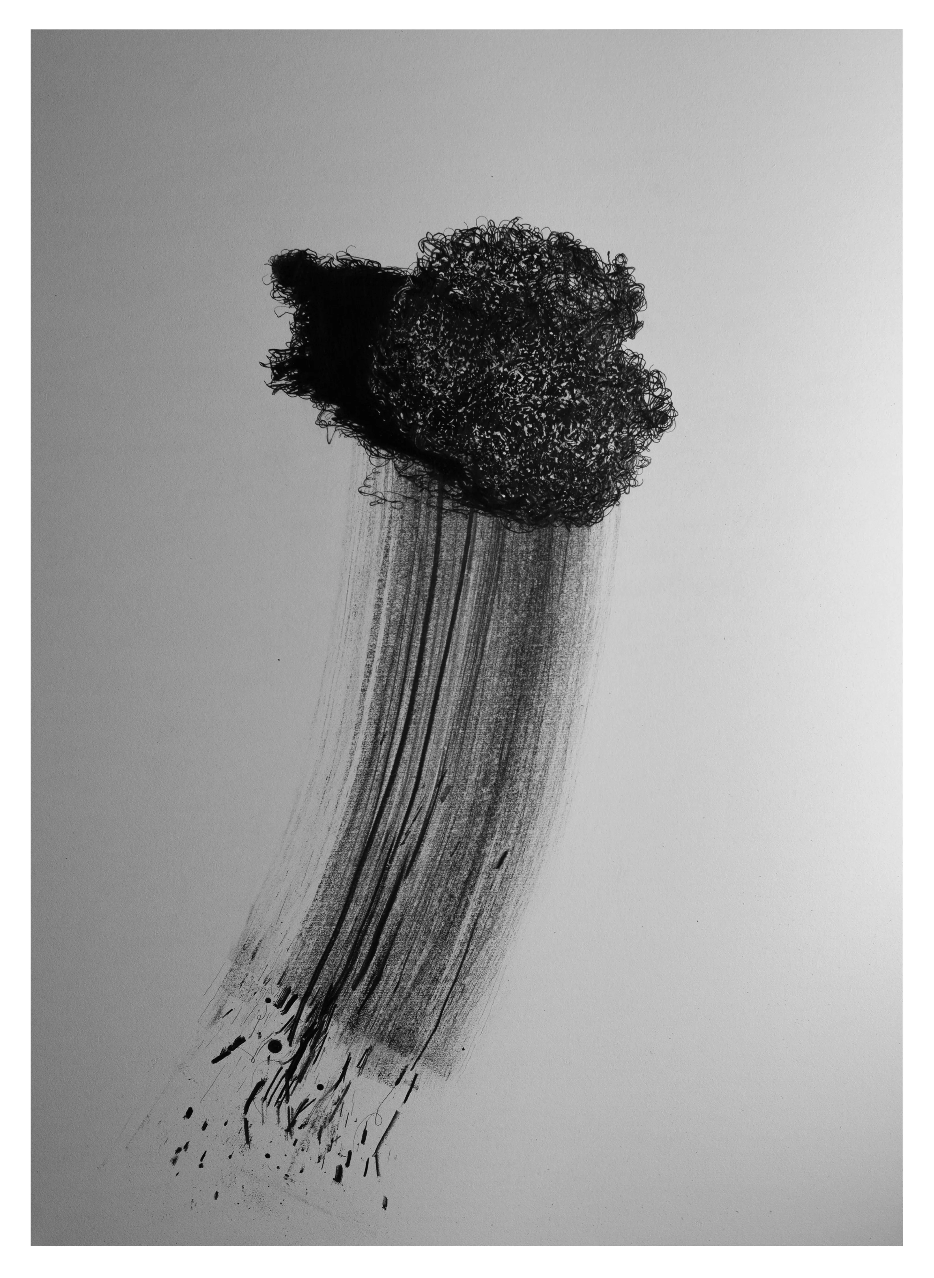 Зображення "Металевий скрибок для миття посуду" від євген григор'єв, матеріали: папір, графіт, медіум: Графіка, місто: Львів, серія: "Підмети і присудки", ціна: €500