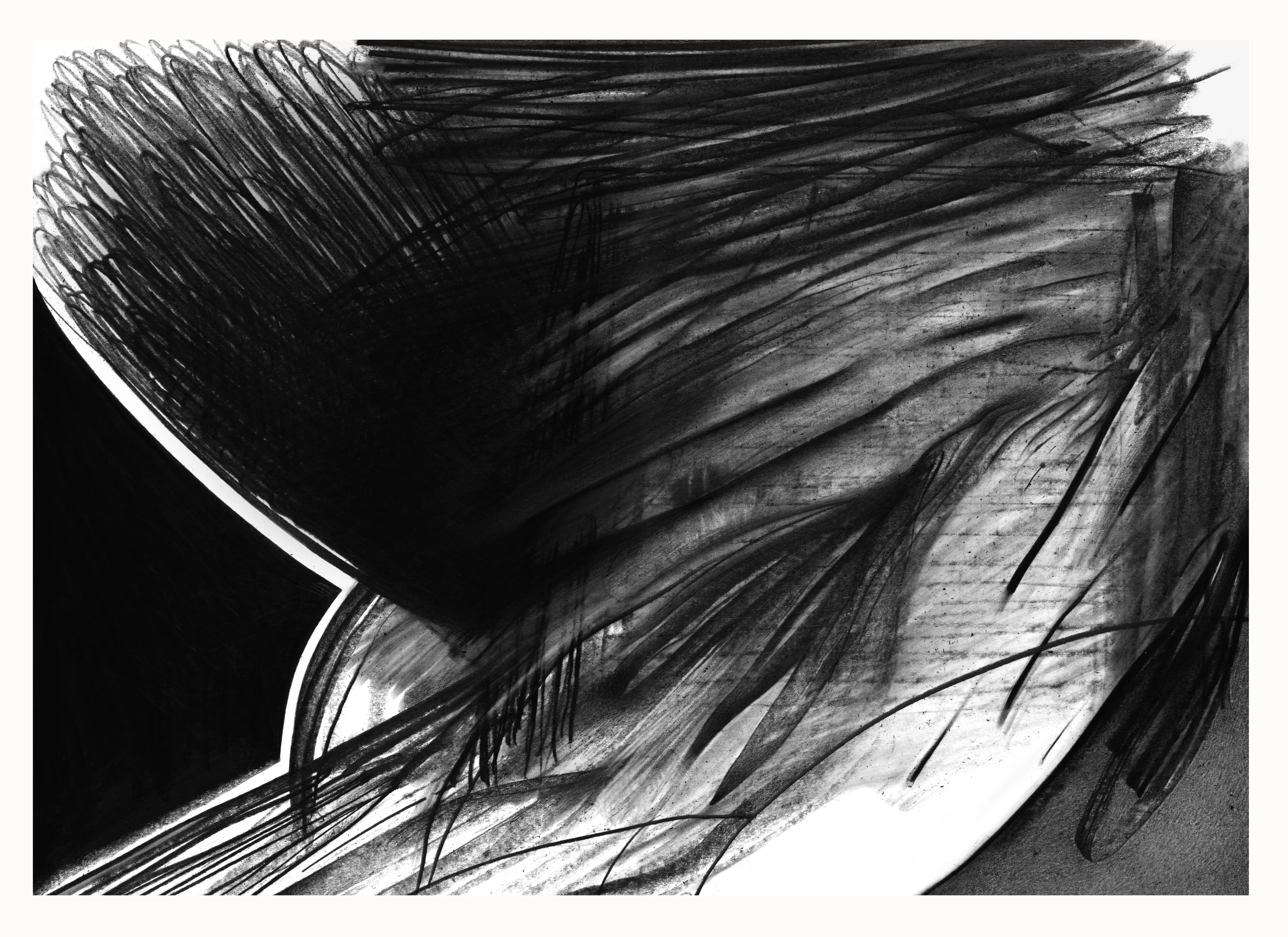 Зображення "ню-ню" від євген григор'єв, розмір: А3, матеріали: папір, графіт, медіум: Графіка, місто: Львів, серія: "Чорне,сіре, біле", ціна: €300