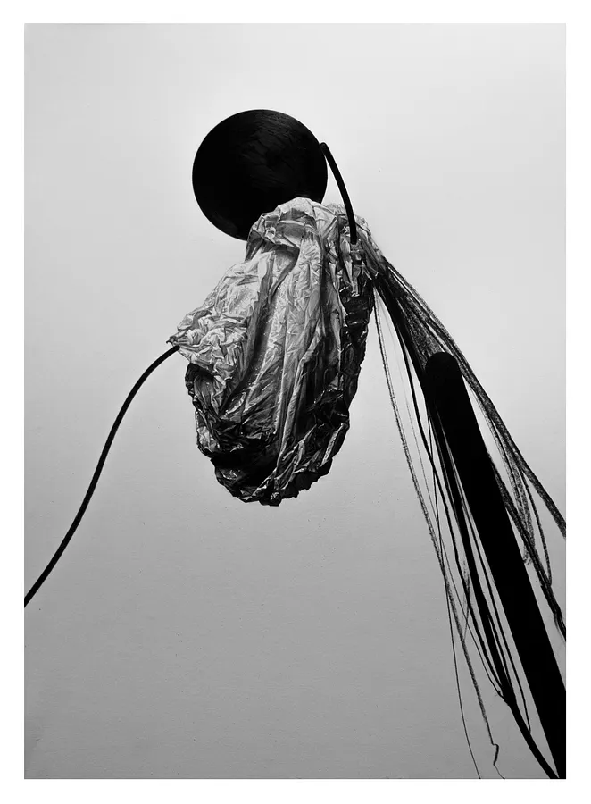 Зображення "поліетиленовий пакет" від євген григор'єв, матеріали: папір, графіт, медіум: Графіка, місто: Львів, серія: "Підмети і присудки", ціна: €500