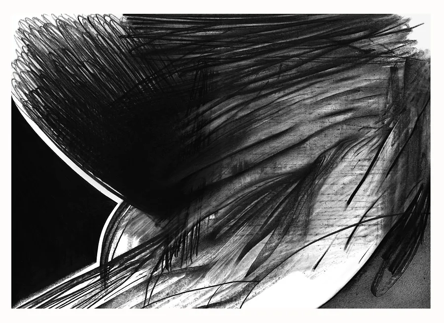 Зображення "16" від євген григор'єв, розмір: А3, матеріали: папір, графіт, медіум: Графіка, місто: Львів, серія: "Чорне,сіре, біле", ціна: €300