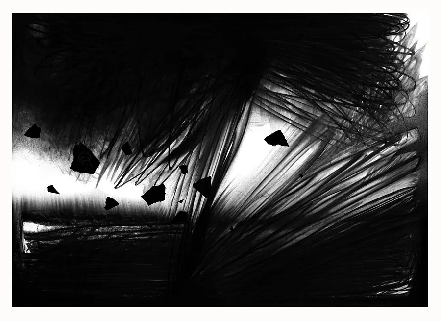 Зображення "22" від євген григор'єв, розмір: А3, матеріали: папір, графіт, медіум: Графіка, місто: Львів, серія: "Чорне,сіре, біле", ціна: €400